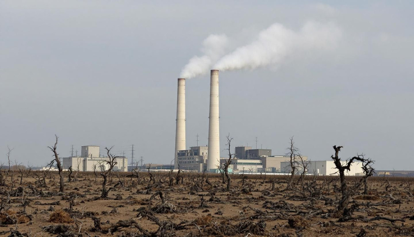 Impact des centrales thermiques sur la biodiversité locale ?